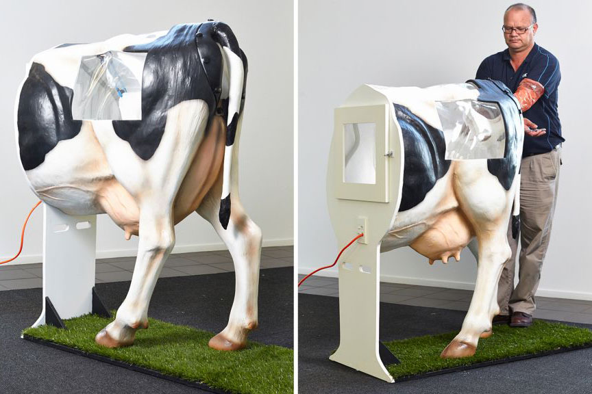 Стаття: Технология искусственного осеменения коров и телок