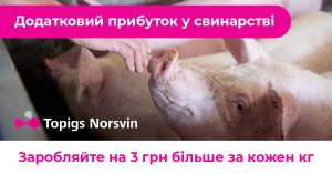 Новина: Відкрито реєстрацію на вебінар “Як отримати додаткові 3 грн за кожен кг якісної свинини”