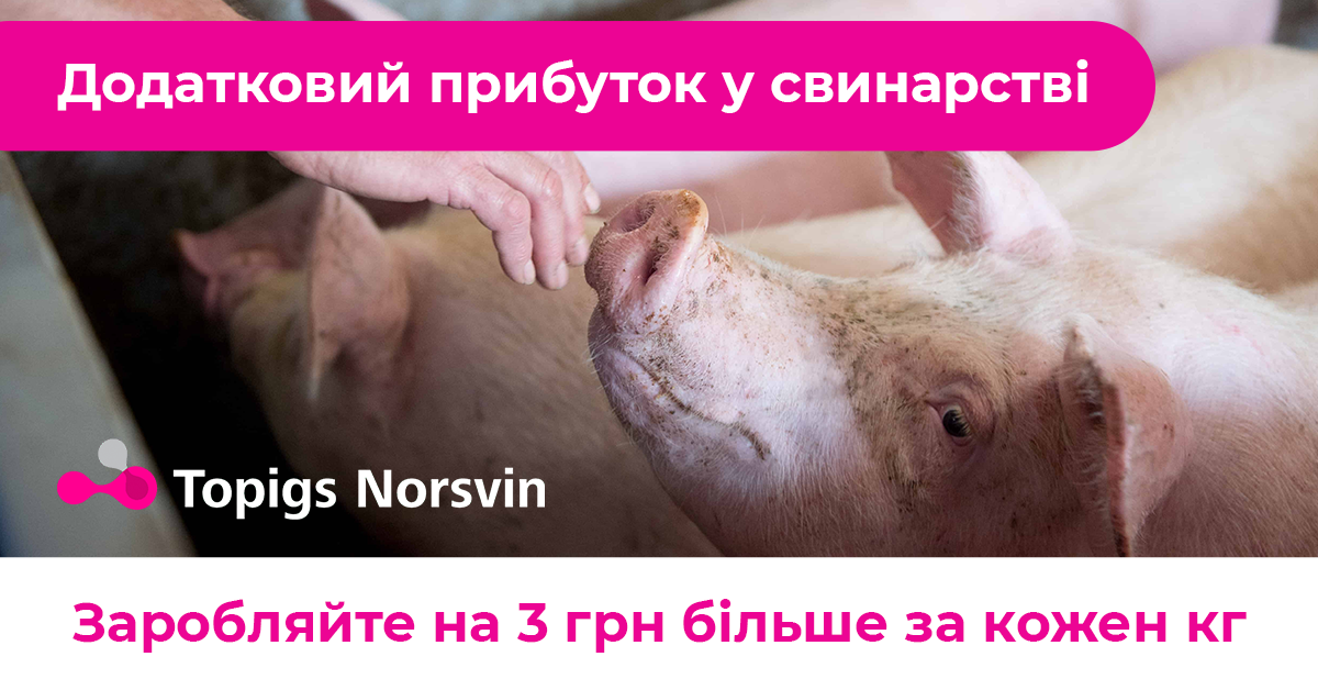 Новина: Відкрито реєстрацію на вебінар “Як отримати додаткові 3 грн за кожен кг якісної свинини”