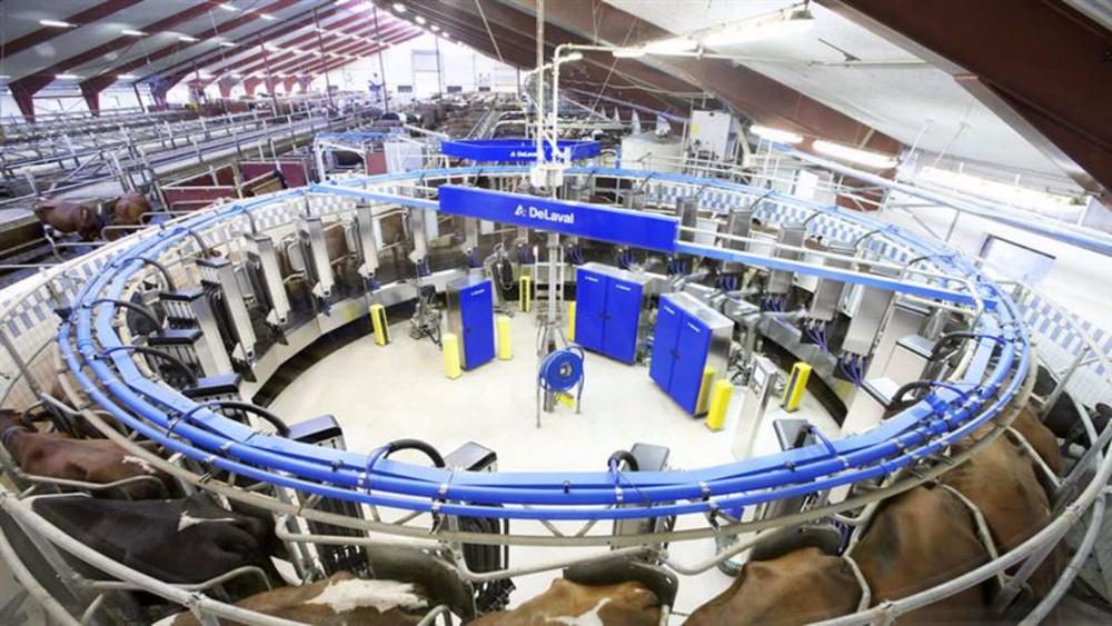 Automatic Milking Rotary. Источник: foodprocessing-technology.com